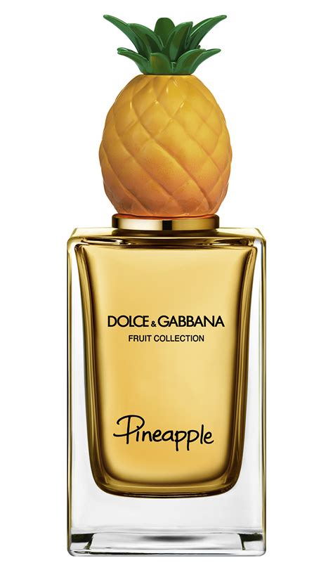 dolce gabbana blusa feminina|dolce and gabbana unisex fragrance.